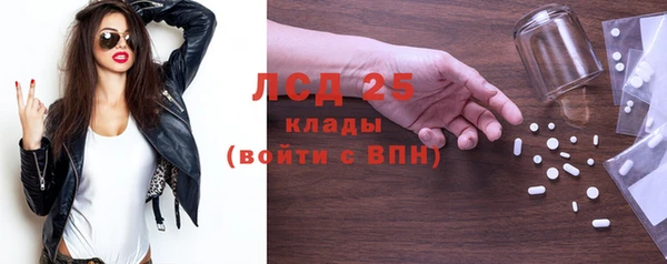 прущие грибы Нея