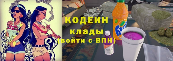 прущие грибы Нея